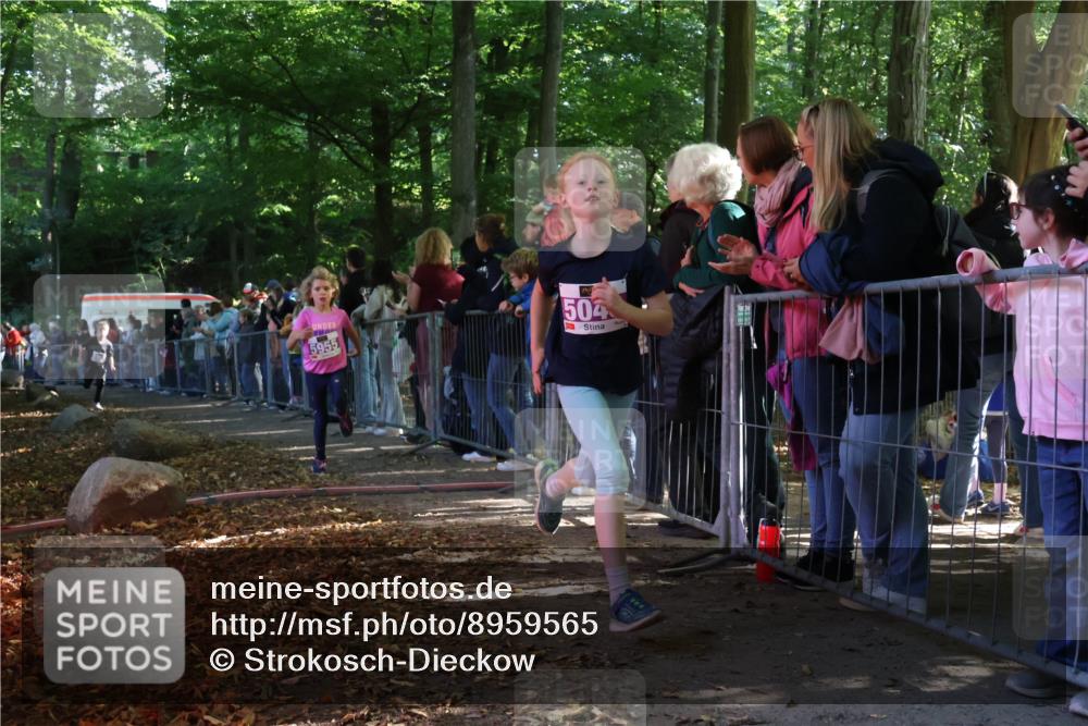 28.09.2025 - 33. Volkslauf durch das schöne Alstertal Strokosch-Dieckow http://msf.ph/oto/8959565 28.09.2025 10:46:12 Ziel 5048, 5955, 5962 meine-sportfotos.de