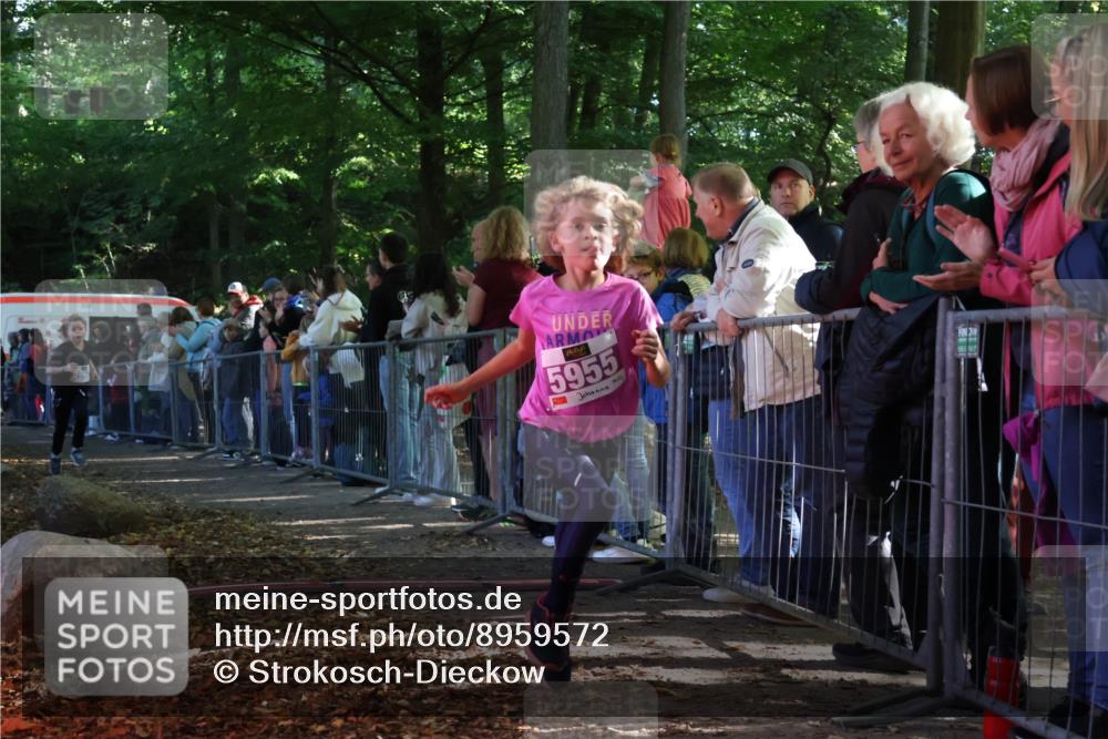 28.09.2025 - 33. Volkslauf durch das schöne Alstertal Strokosch-Dieckow http://msf.ph/oto/8959572 28.09.2025 10:46:13 Ziel 5048, 5955, 5962 meine-sportfotos.de