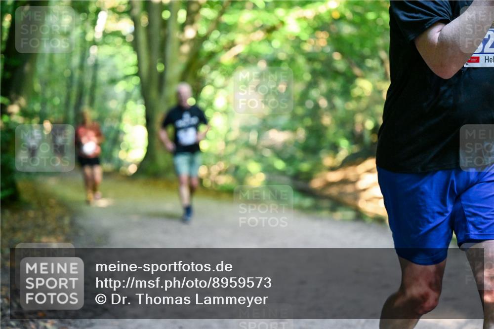 28.09.2025 - 33. Volkslauf durch das schöne Alstertal Dr. Thomas Lammeyer http://msf.ph/oto/8959573 28.09.2025 10:54:47 Laufen 2 meine-sportfotos.de