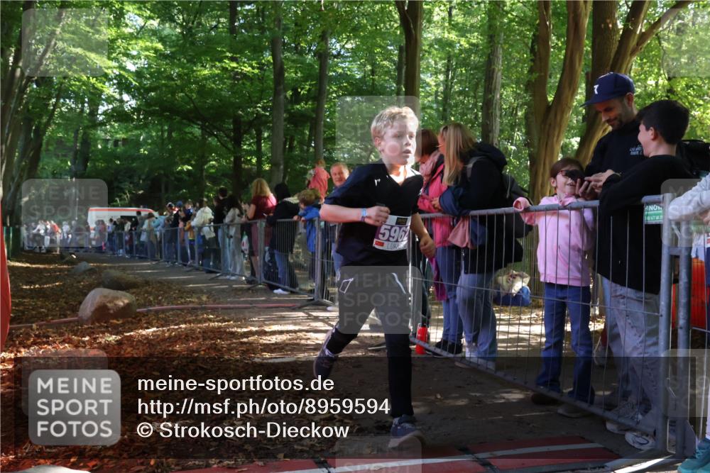 28.09.2025 - 33. Volkslauf durch das schöne Alstertal Strokosch-Dieckow http://msf.ph/oto/8959594 28.09.2025 10:46:18 Ziel 5026, 5040, 5962 meine-sportfotos.de