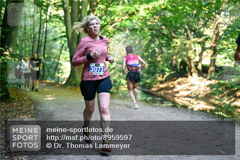 28.09.2025 - 33. Volkslauf durch das schöne Alstertal Dr. Thomas Lammeyer http://msf.ph/oto/8959597 28.09.2025 10:54:51 Laufen 3073 meine-sportfotos.de