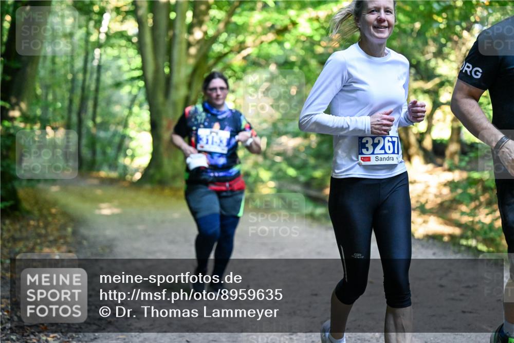 28.09.2025 - 33. Volkslauf durch das schöne Alstertal Dr. Thomas Lammeyer http://msf.ph/oto/8959635 28.09.2025 10:54:59 Laufen 31, 3, 3267 meine-sportfotos.de