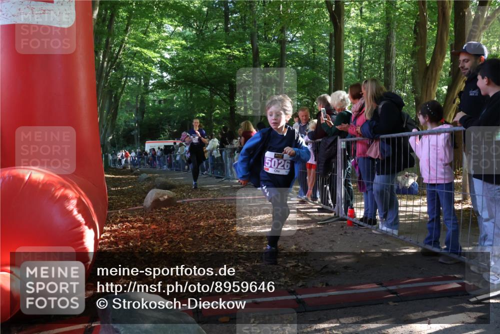 28.09.2025 - 33. Volkslauf durch das schöne Alstertal Strokosch-Dieckow http://msf.ph/oto/8959646 28.09.2025 10:46:28 Ziel 5020, 5026 meine-sportfotos.de