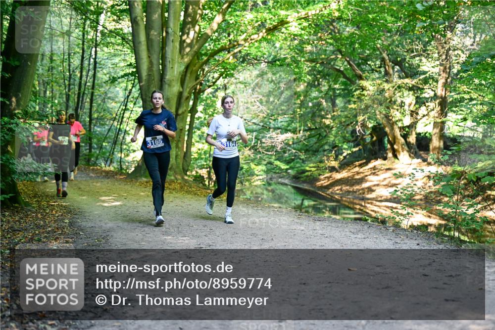 28.09.2025 - 33. Volkslauf durch das schöne Alstertal Dr. Thomas Lammeyer http://msf.ph/oto/8959774 28.09.2025 10:56:21 Laufen 3165, 3164 meine-sportfotos.de