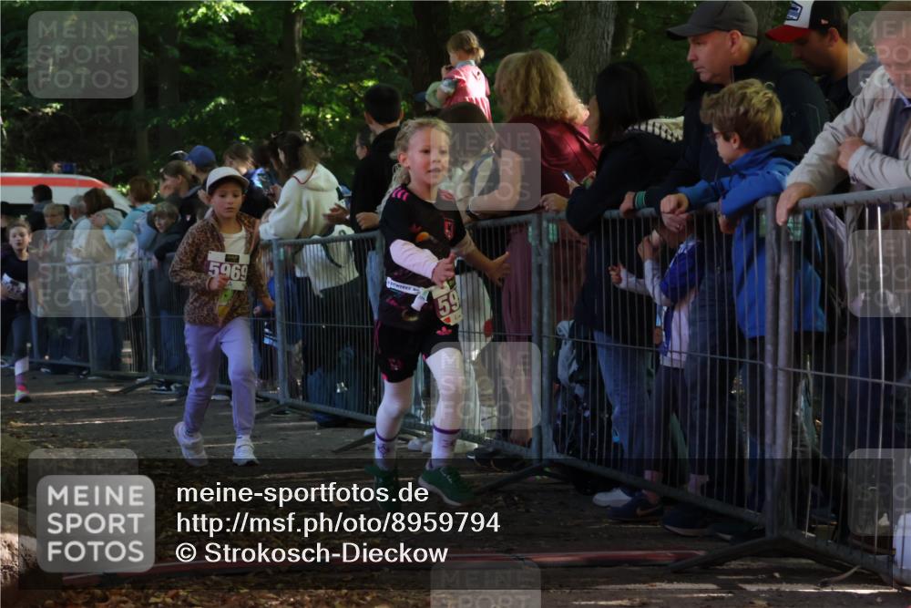 28.09.2025 - 33. Volkslauf durch das schöne Alstertal Strokosch-Dieckow http://msf.ph/oto/8959794 28.09.2025 10:46:54 Ziel 5032, 5953, 5969 meine-sportfotos.de