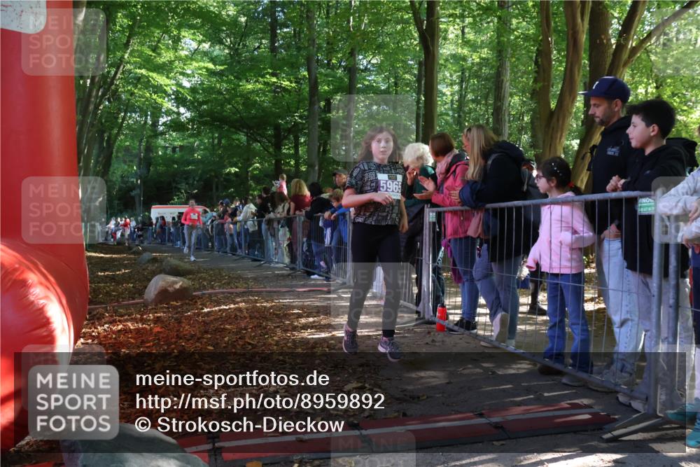 28.09.2025 - 33. Volkslauf durch das schöne Alstertal Strokosch-Dieckow http://msf.ph/oto/8959892 28.09.2025 10:47:12 Ziel 5951, 5964, 5965 meine-sportfotos.de