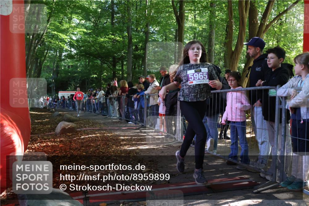 28.09.2025 - 33. Volkslauf durch das schöne Alstertal Strokosch-Dieckow http://msf.ph/oto/8959899 28.09.2025 10:47:13 Ziel 5951, 5964, 5965 meine-sportfotos.de