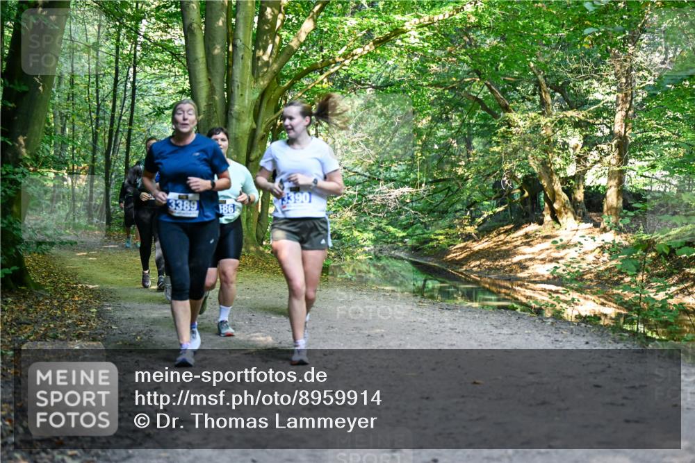 28.09.2025 - 33. Volkslauf durch das schöne Alstertal Dr. Thomas Lammeyer http://msf.ph/oto/8959914 28.09.2025 10:56:58 Laufen 3390, 3389, 186 meine-sportfotos.de