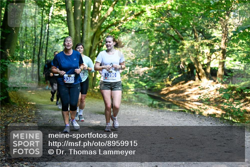 28.09.2025 - 33. Volkslauf durch das schöne Alstertal Dr. Thomas Lammeyer http://msf.ph/oto/8959915 28.09.2025 10:56:58 Laufen 3389, 86, 3390 meine-sportfotos.de