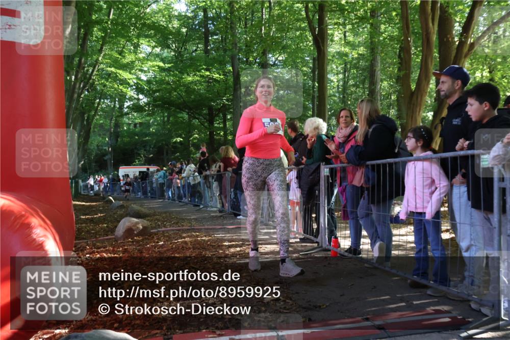 28.09.2025 - 33. Volkslauf durch das schöne Alstertal Strokosch-Dieckow http://msf.ph/oto/8959925 28.09.2025 10:47:15 Ziel 5951, 5960, 5964 meine-sportfotos.de