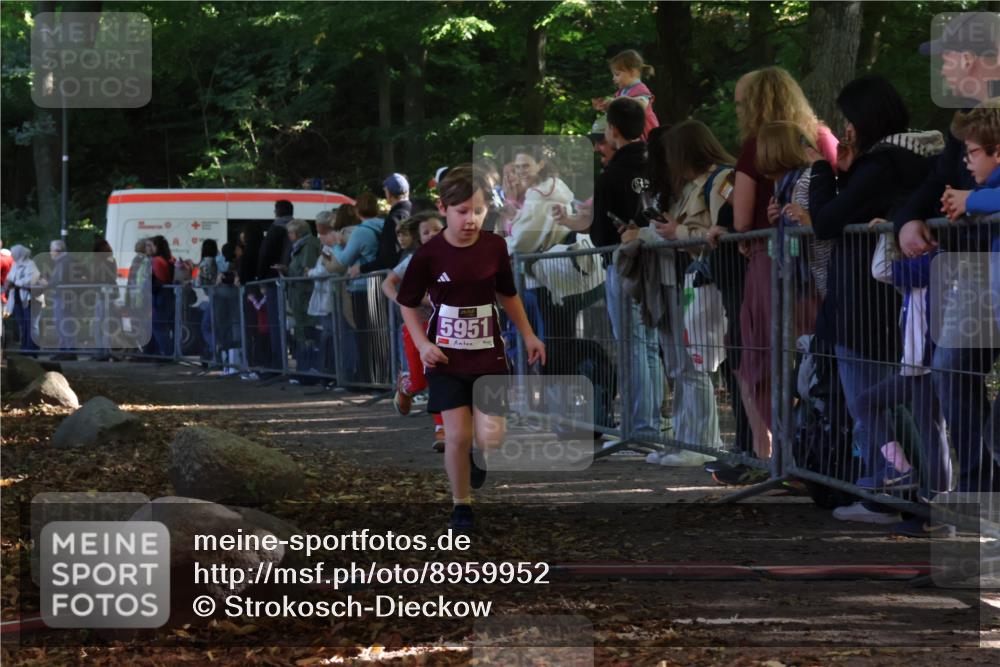 28.09.2025 - 33. Volkslauf durch das schöne Alstertal Strokosch-Dieckow http://msf.ph/oto/8959952 28.09.2025 10:47:20 Ziel 5951, 5960 meine-sportfotos.de