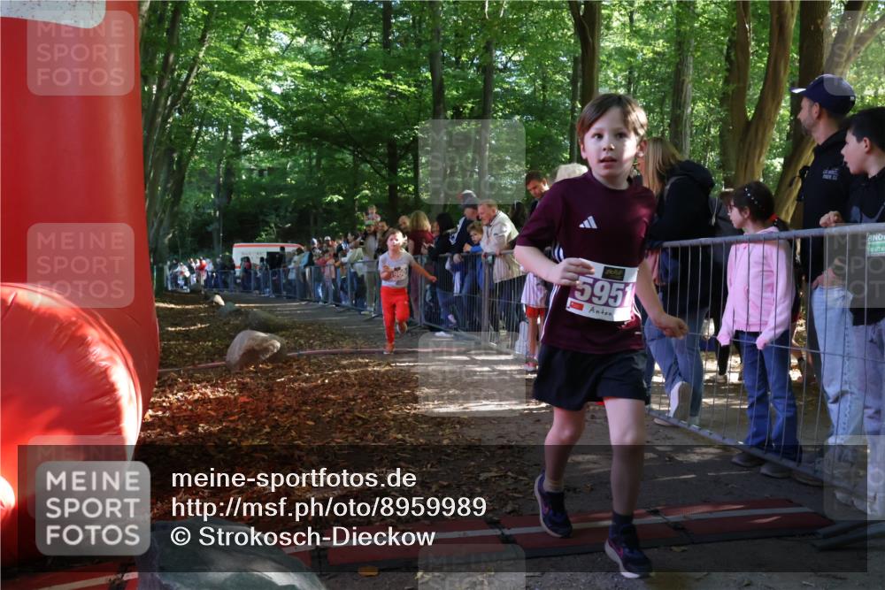28.09.2025 - 33. Volkslauf durch das schöne Alstertal Strokosch-Dieckow http://msf.ph/oto/8959989 28.09.2025 10:47:23 Ziel 5960 meine-sportfotos.de