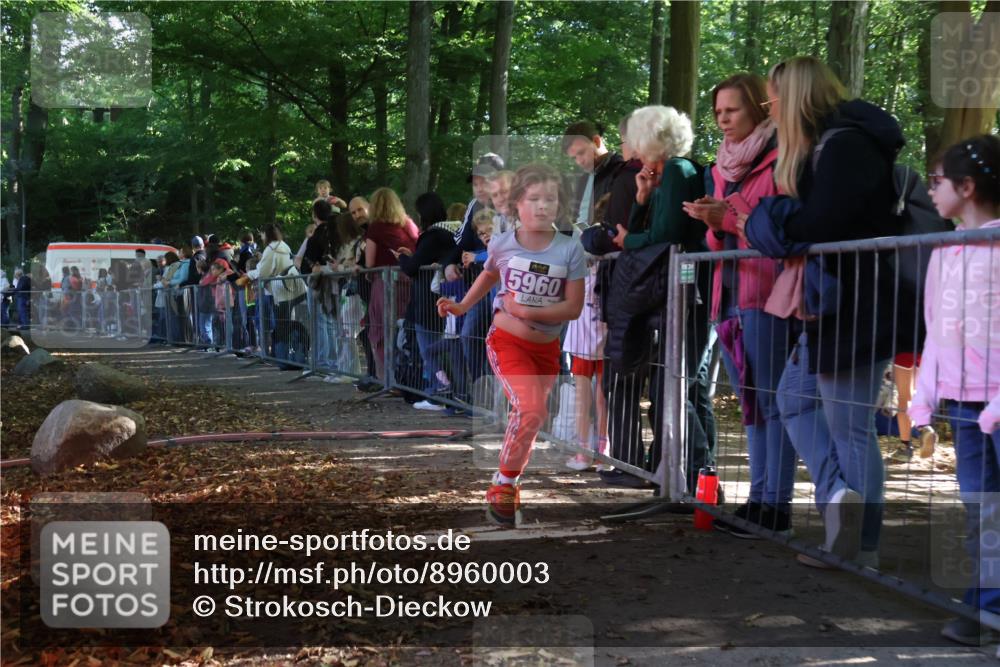 28.09.2025 - 33. Volkslauf durch das schöne Alstertal Strokosch-Dieckow http://msf.ph/oto/8960003 28.09.2025 10:47:24 Ziel 5960 meine-sportfotos.de