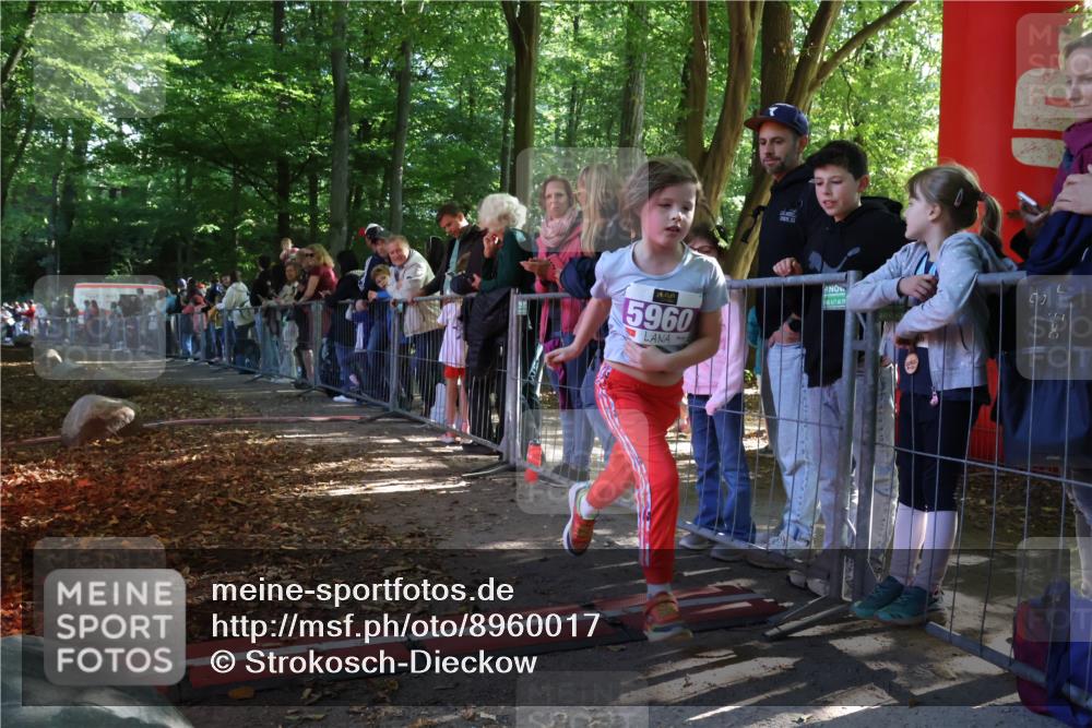 28.09.2025 - 33. Volkslauf durch das schöne Alstertal Strokosch-Dieckow http://msf.ph/oto/8960017 28.09.2025 10:47:24 Ziel 5960 meine-sportfotos.de