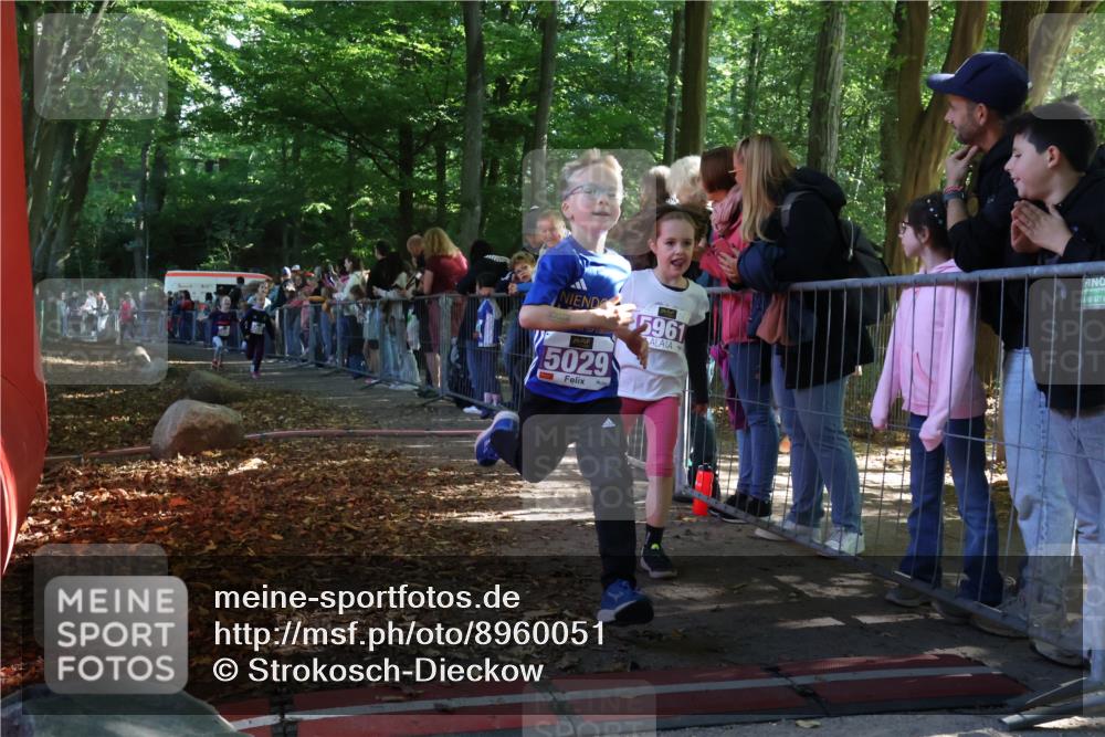 28.09.2025 - 33. Volkslauf durch das schöne Alstertal Strokosch-Dieckow http://msf.ph/oto/8960051 28.09.2025 10:47:36 Ziel 5004, 5029, 5035, 5049, 5961 meine-sportfotos.de