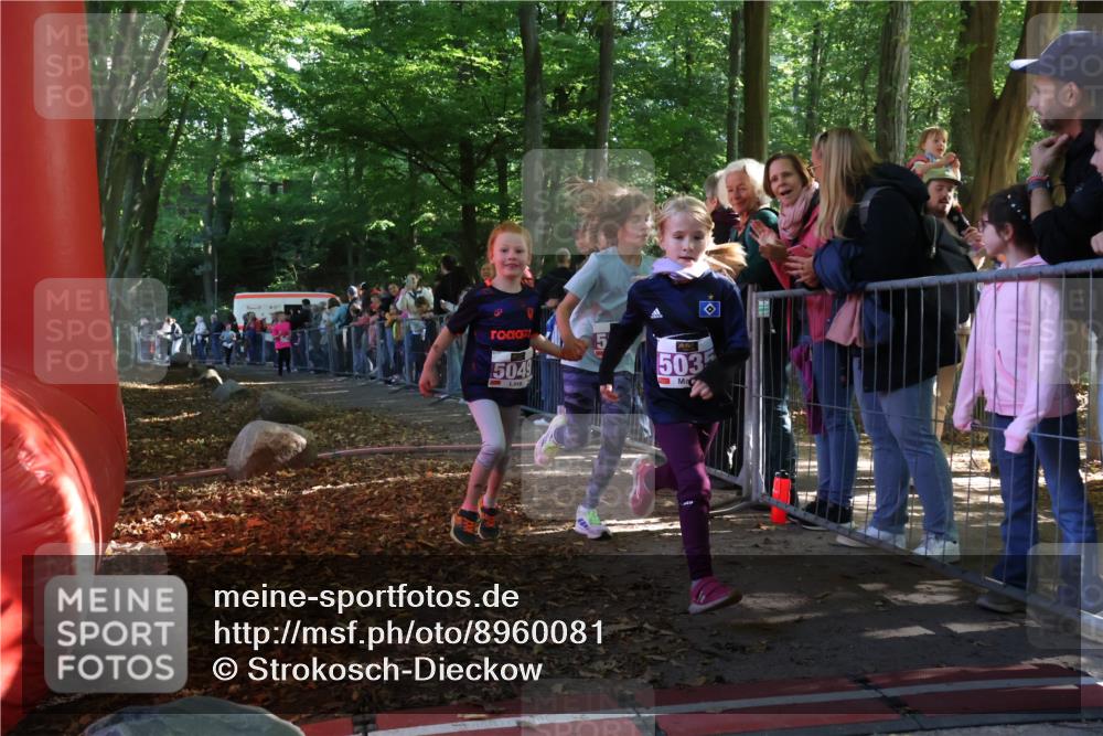 28.09.2025 - 33. Volkslauf durch das schöne Alstertal Strokosch-Dieckow http://msf.ph/oto/8960081 28.09.2025 10:47:40 Ziel 5004, 5035, 5049, 5957 meine-sportfotos.de
