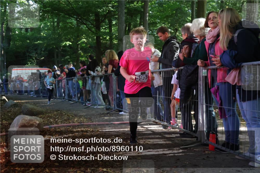 28.09.2025 - 33. Volkslauf durch das schöne Alstertal Strokosch-Dieckow http://msf.ph/oto/8960110 28.09.2025 10:47:46 Ziel 5017, 5957 meine-sportfotos.de