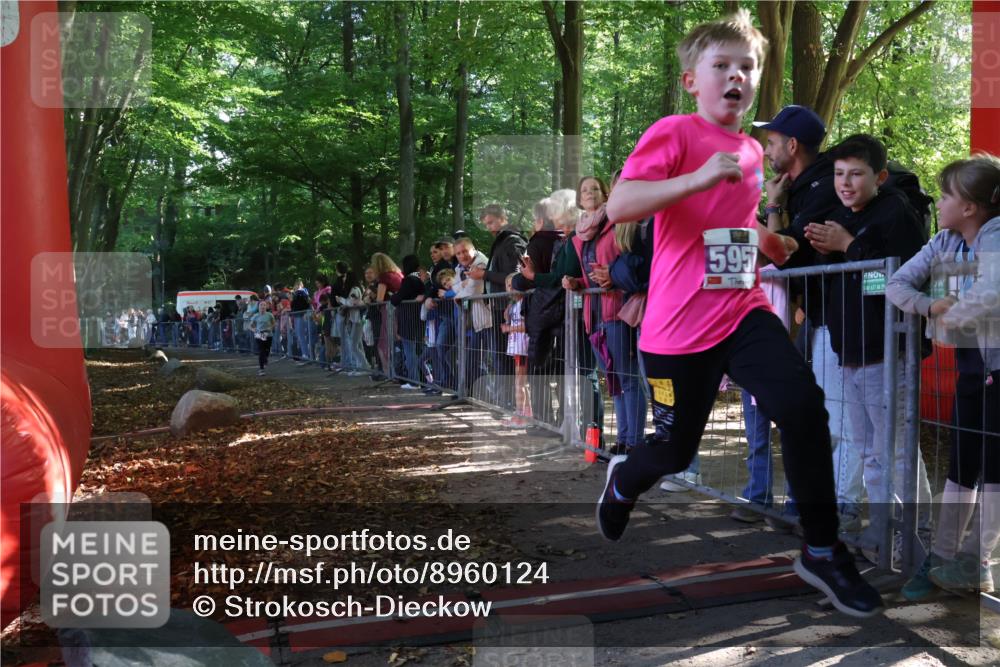 28.09.2025 - 33. Volkslauf durch das schöne Alstertal Strokosch-Dieckow http://msf.ph/oto/8960124 28.09.2025 10:47:47 Ziel 5017, 5957 meine-sportfotos.de