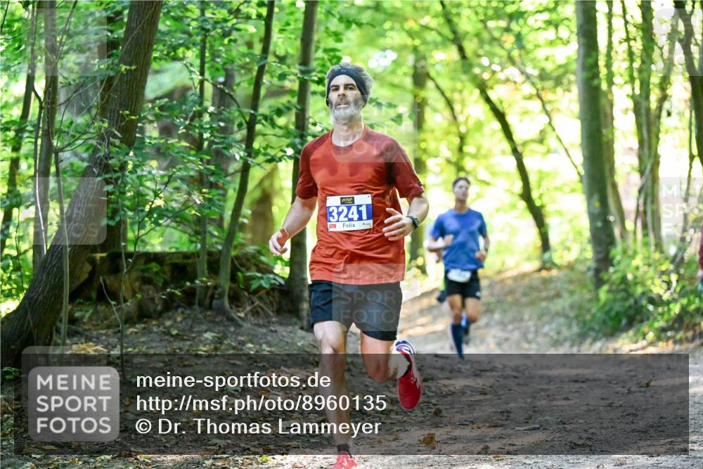 28.09.2025 - 33. Volkslauf durch das schöne Alstertal Dr. Thomas Lammeyer http://msf.ph/oto/8960135 28.09.2025 10:59:47 Laufen 3241 meine-sportfotos.de