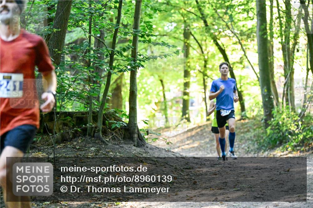 28.09.2025 - 33. Volkslauf durch das schöne Alstertal Dr. Thomas Lammeyer http://msf.ph/oto/8960139 28.09.2025 10:59:47 Laufen 241, 30 meine-sportfotos.de