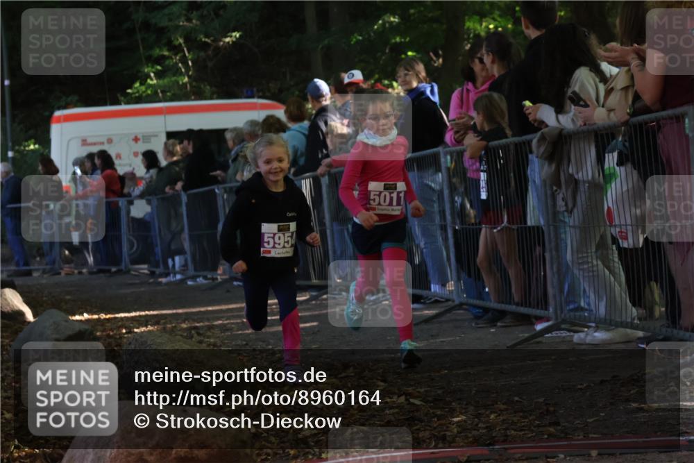 28.09.2025 - 33. Volkslauf durch das schöne Alstertal Strokosch-Dieckow http://msf.ph/oto/8960164 28.09.2025 10:48:02 Ziel 5011, 5954, 5956, 5963 meine-sportfotos.de