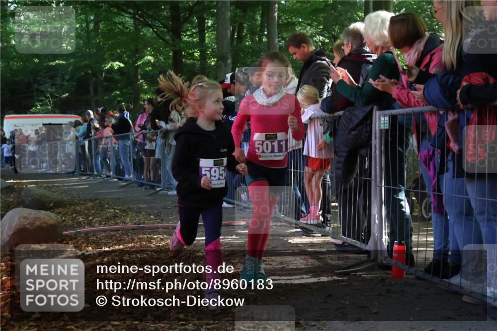 28.09.2025 - 33. Volkslauf durch das schöne Alstertal Strokosch-Dieckow http://msf.ph/oto/8960183 28.09.2025 10:48:04 Ziel 5011, 5954, 5956, 5963 meine-sportfotos.de