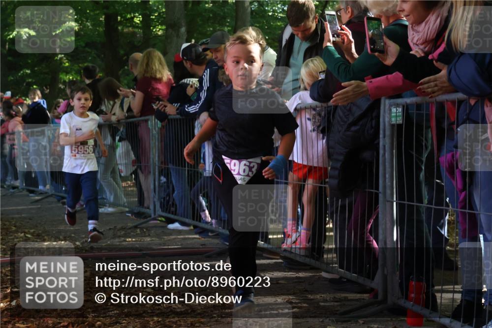 28.09.2025 - 33. Volkslauf durch das schöne Alstertal Strokosch-Dieckow http://msf.ph/oto/8960223 28.09.2025 10:48:10 Ziel 5956, 5963 meine-sportfotos.de