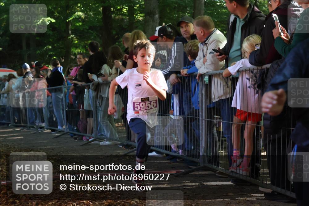 28.09.2025 - 33. Volkslauf durch das schöne Alstertal Strokosch-Dieckow http://msf.ph/oto/8960227 28.09.2025 10:48:11 Ziel 5956, 5963 meine-sportfotos.de