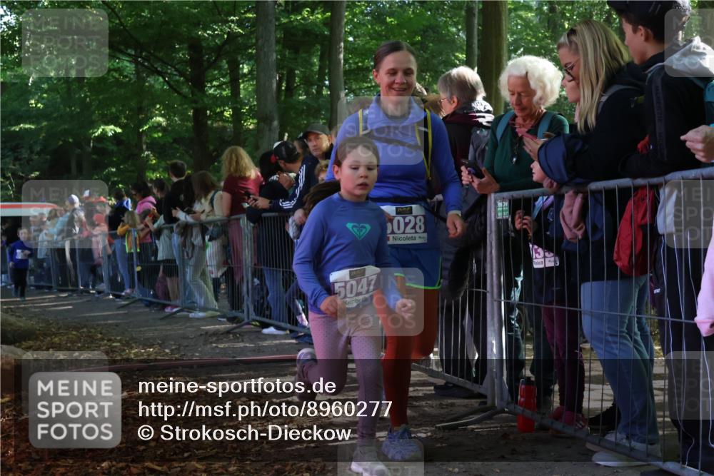 28.09.2025 - 33. Volkslauf durch das schöne Alstertal Strokosch-Dieckow http://msf.ph/oto/8960277 28.09.2025 10:48:22 Ziel 5023, 5028, 5047 meine-sportfotos.de