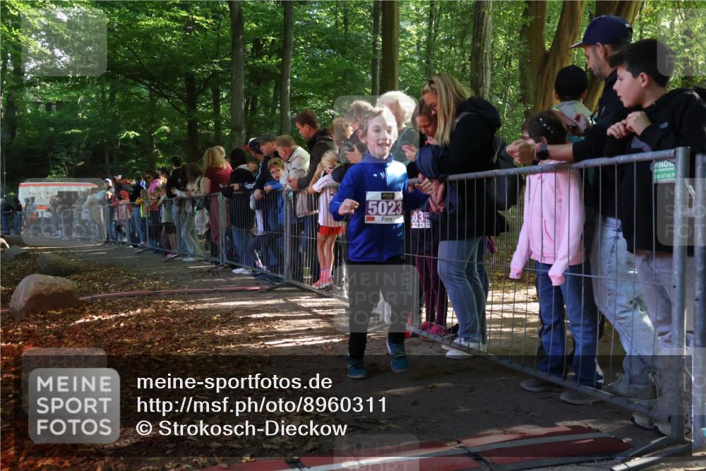 28.09.2025 - 33. Volkslauf durch das schöne Alstertal Strokosch-Dieckow http://msf.ph/oto/8960311 28.09.2025 10:48:28 Ziel 5023 meine-sportfotos.de