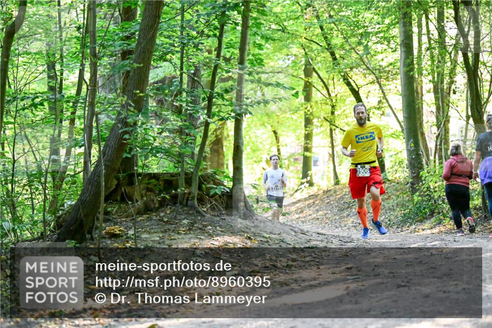 28.09.2025 - 33. Volkslauf durch das schöne Alstertal Dr. Thomas Lammeyer http://msf.ph/oto/8960395 28.09.2025 11:02:36 Laufen 3906, 317910 meine-sportfotos.de