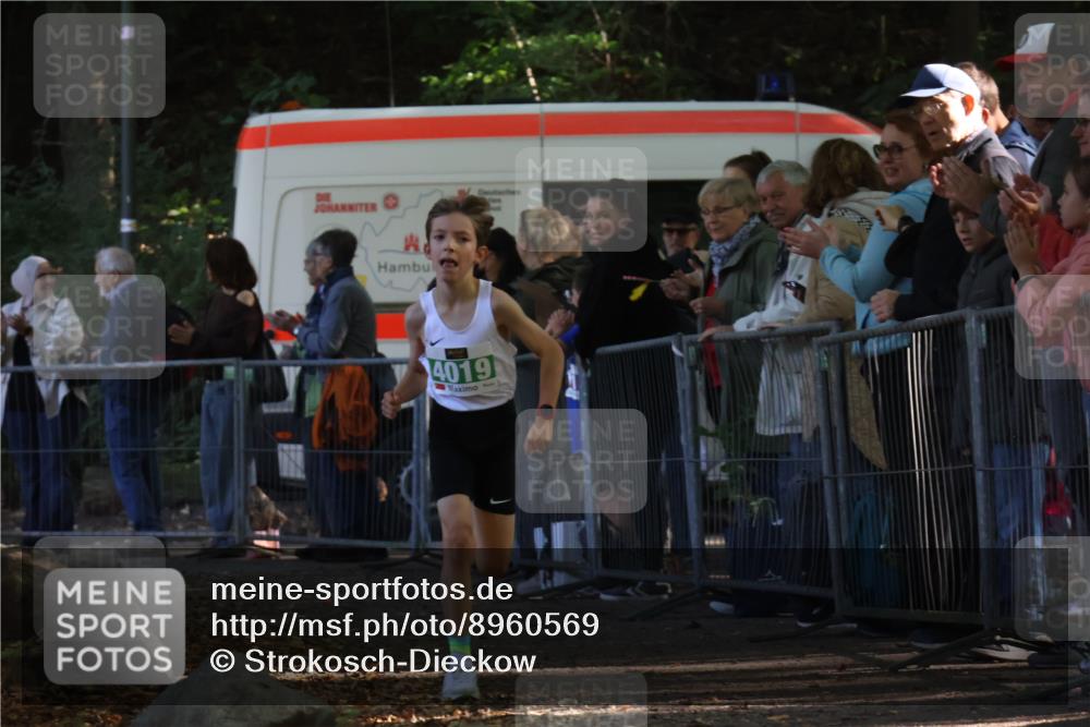 28.09.2025 - 33. Volkslauf durch das schöne Alstertal Strokosch-Dieckow http://msf.ph/oto/8960569 28.09.2025 10:50:06 Ziel 4019, 4161 meine-sportfotos.de