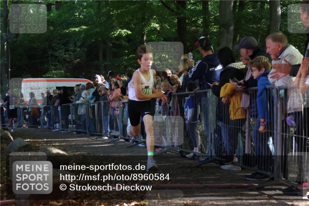 28.09.2025 - 33. Volkslauf durch das schöne Alstertal Strokosch-Dieckow http://msf.ph/oto/8960584 28.09.2025 10:50:08 Ziel 4019, 4161 meine-sportfotos.de