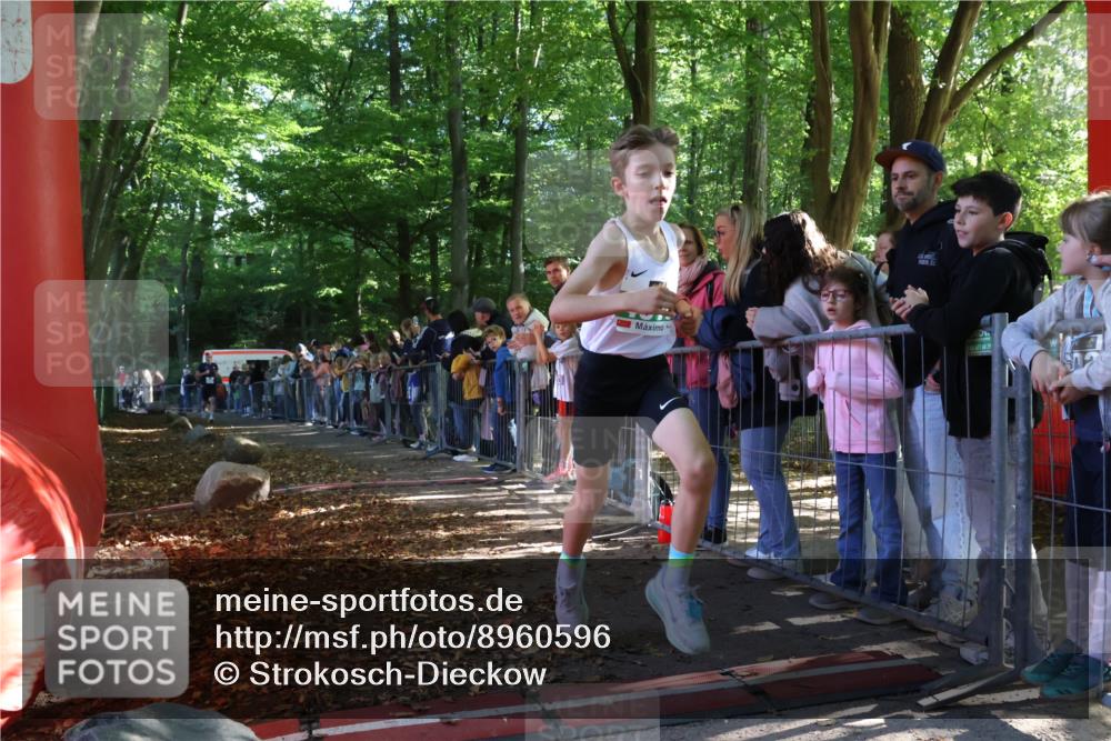 28.09.2025 - 33. Volkslauf durch das schöne Alstertal Strokosch-Dieckow http://msf.ph/oto/8960596 28.09.2025 10:50:09 Ziel 4019, 4161 meine-sportfotos.de