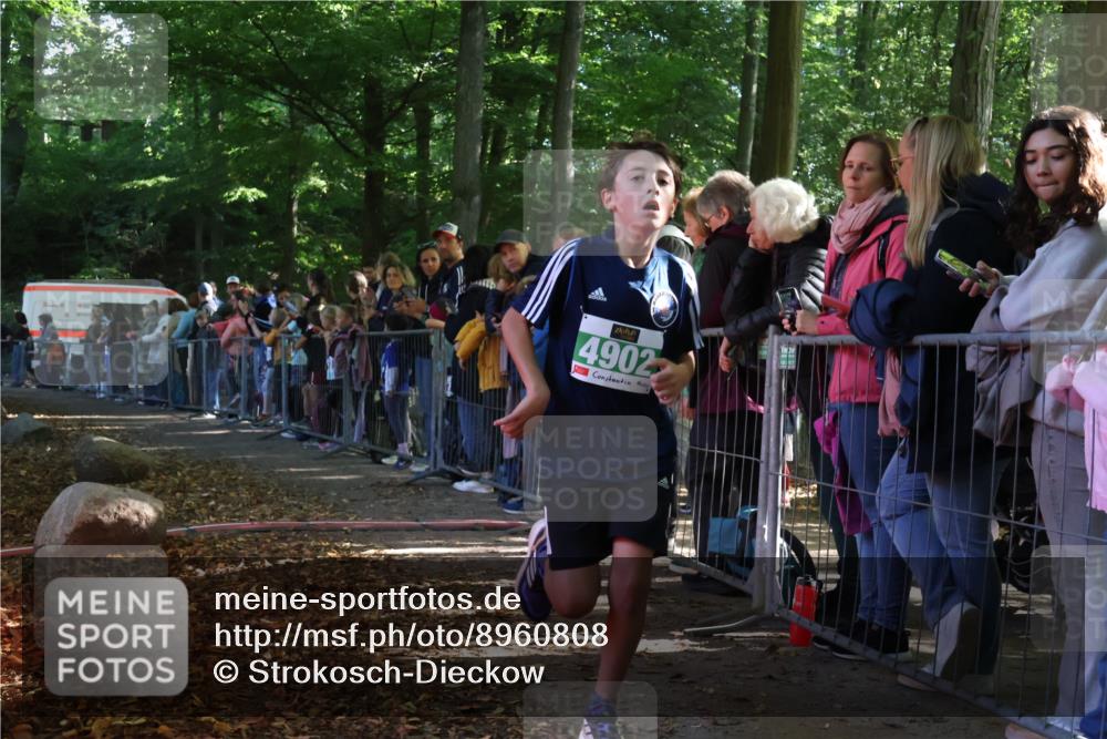 28.09.2025 - 33. Volkslauf durch das schöne Alstertal Strokosch-Dieckow http://msf.ph/oto/8960808 28.09.2025 10:50:40 Ziel 4902 meine-sportfotos.de