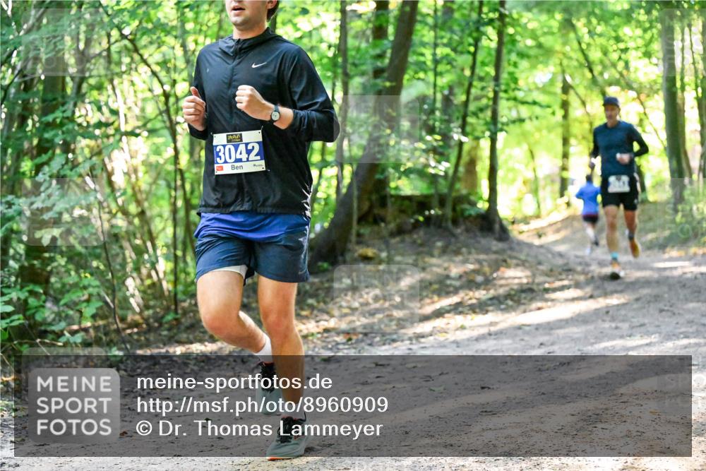 28.09.2025 - 33. Volkslauf durch das schöne Alstertal Dr. Thomas Lammeyer http://msf.ph/oto/8960909 28.09.2025 11:05:33 Laufen 3042 meine-sportfotos.de