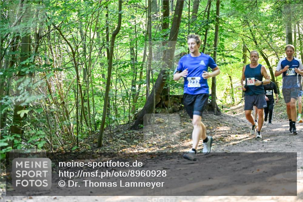 28.09.2025 - 33. Volkslauf durch das schöne Alstertal Dr. Thomas Lammeyer http://msf.ph/oto/8960928 28.09.2025 11:05:47 Laufen 2519, 3041, 3941 meine-sportfotos.de