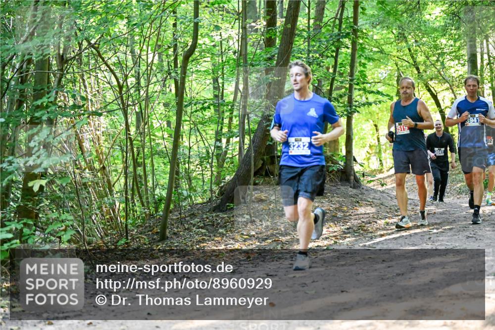 28.09.2025 - 33. Volkslauf durch das schöne Alstertal Dr. Thomas Lammeyer http://msf.ph/oto/8960929 28.09.2025 11:05:47 Laufen 2519, 3232, 3941, 3041, 02 meine-sportfotos.de