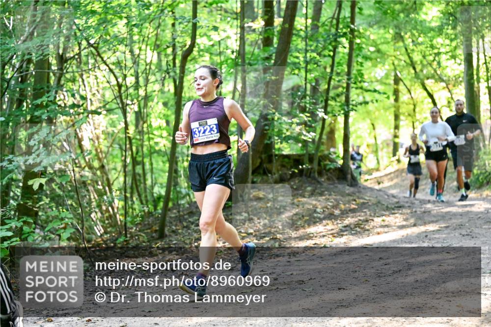 28.09.2025 - 33. Volkslauf durch das schöne Alstertal Dr. Thomas Lammeyer http://msf.ph/oto/8960969 28.09.2025 11:05:53 Laufen 3223 meine-sportfotos.de