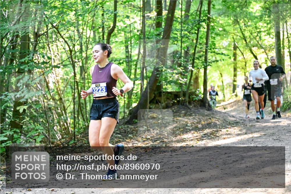 28.09.2025 - 33. Volkslauf durch das schöne Alstertal Dr. Thomas Lammeyer http://msf.ph/oto/8960970 28.09.2025 11:05:53 Laufen 3223, 1030 meine-sportfotos.de