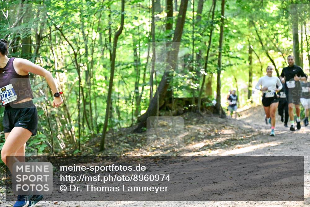 28.09.2025 - 33. Volkslauf durch das schöne Alstertal Dr. Thomas Lammeyer http://msf.ph/oto/8960974 28.09.2025 11:05:54 Laufen 3223 meine-sportfotos.de