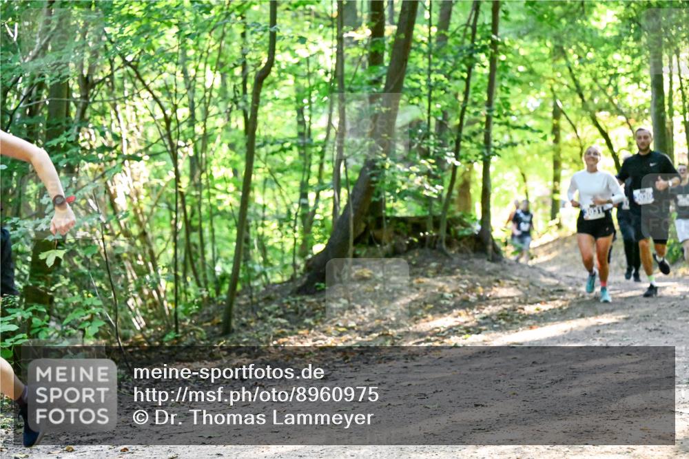 28.09.2025 - 33. Volkslauf durch das schöne Alstertal Dr. Thomas Lammeyer http://msf.ph/oto/8960975 28.09.2025 11:05:54 Laufen  meine-sportfotos.de