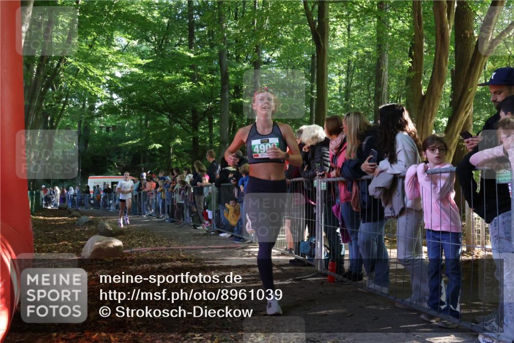 28.09.2025 - 33. Volkslauf durch das schöne Alstertal Strokosch-Dieckow http://msf.ph/oto/8961039 28.09.2025 10:52:15 Ziel 4118, 4906, 4910, 4918 meine-sportfotos.de