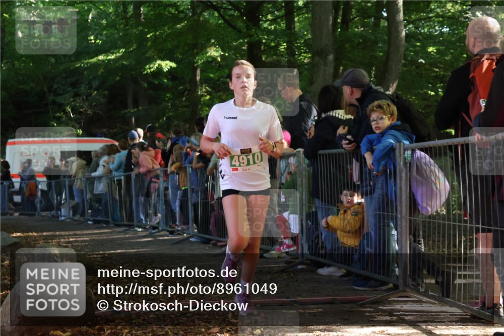 28.09.2025 - 33. Volkslauf durch das schöne Alstertal Strokosch-Dieckow http://msf.ph/oto/8961049 28.09.2025 10:52:16 Ziel 4118, 4910, 4918 meine-sportfotos.de