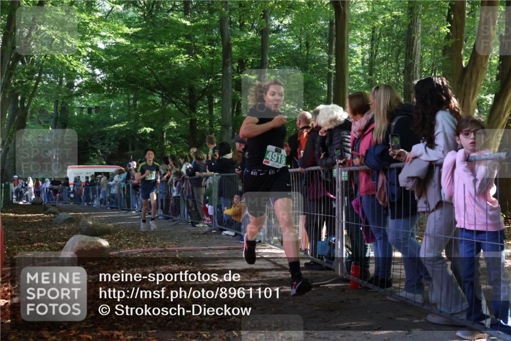 28.09.2025 - 33. Volkslauf durch das schöne Alstertal Strokosch-Dieckow http://msf.ph/oto/8961101 28.09.2025 10:52:23 Ziel 4075, 4118, 4918 meine-sportfotos.de