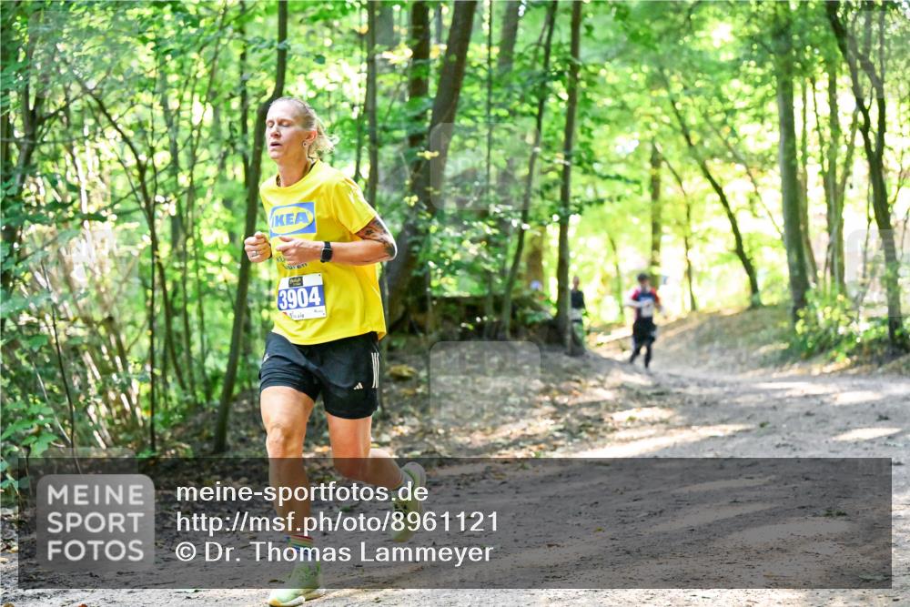 28.09.2025 - 33. Volkslauf durch das schöne Alstertal Dr. Thomas Lammeyer http://msf.ph/oto/8961121 28.09.2025 11:06:23 Laufen 3904 meine-sportfotos.de