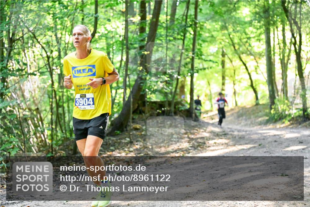 28.09.2025 - 33. Volkslauf durch das schöne Alstertal Dr. Thomas Lammeyer http://msf.ph/oto/8961122 28.09.2025 11:06:24 Laufen 3904 meine-sportfotos.de