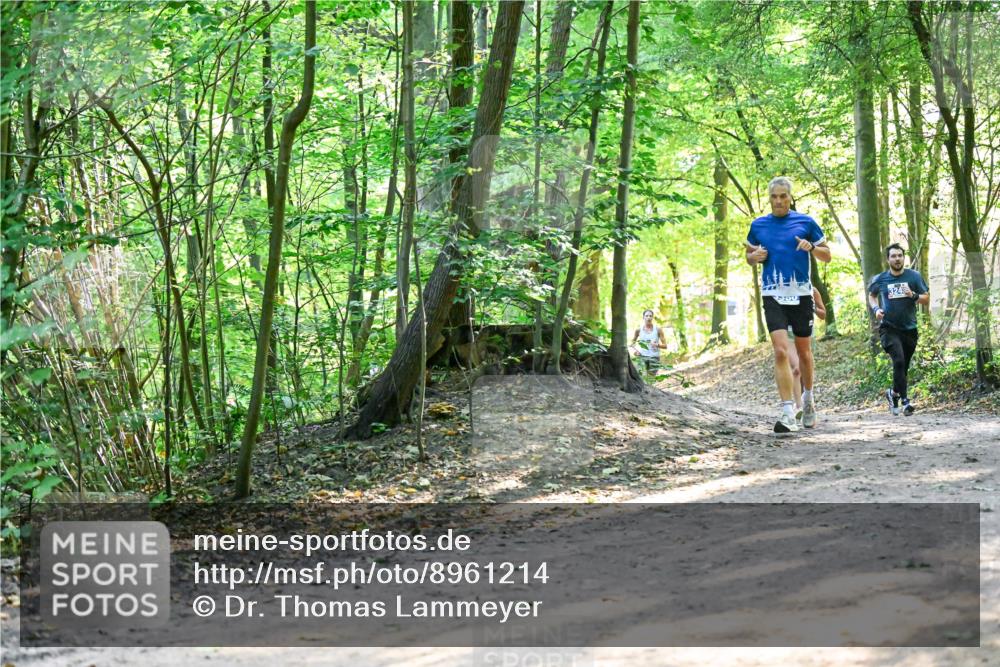 28.09.2025 - 33. Volkslauf durch das schöne Alstertal Dr. Thomas Lammeyer http://msf.ph/oto/8961214 28.09.2025 11:06:45 Laufen 324 meine-sportfotos.de