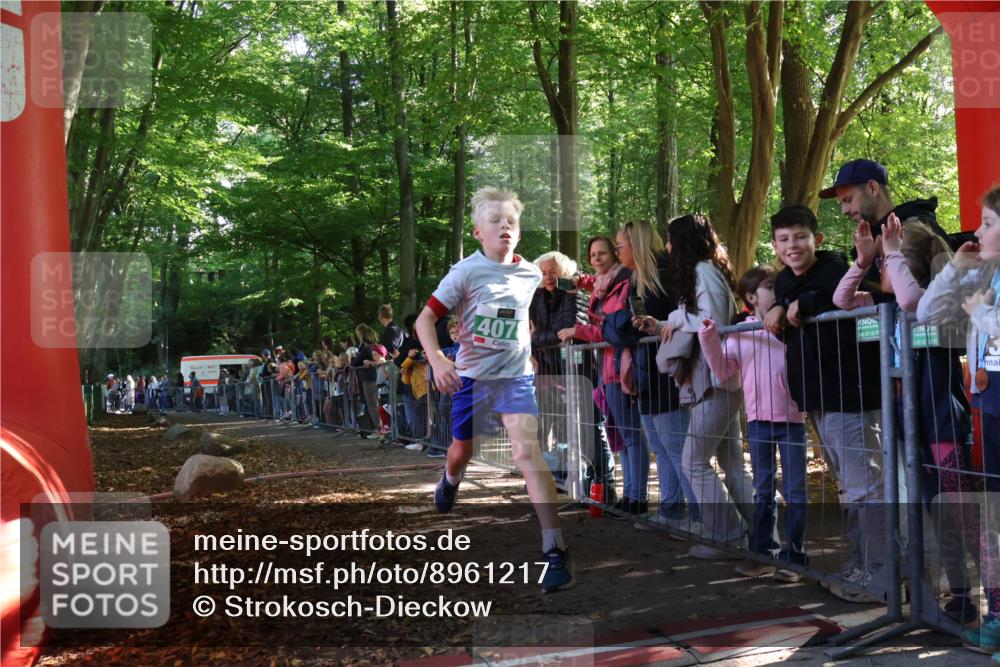 28.09.2025 - 33. Volkslauf durch das schöne Alstertal Strokosch-Dieckow http://msf.ph/oto/8961217 28.09.2025 10:52:52 Ziel 4007, 4078, 4173 meine-sportfotos.de