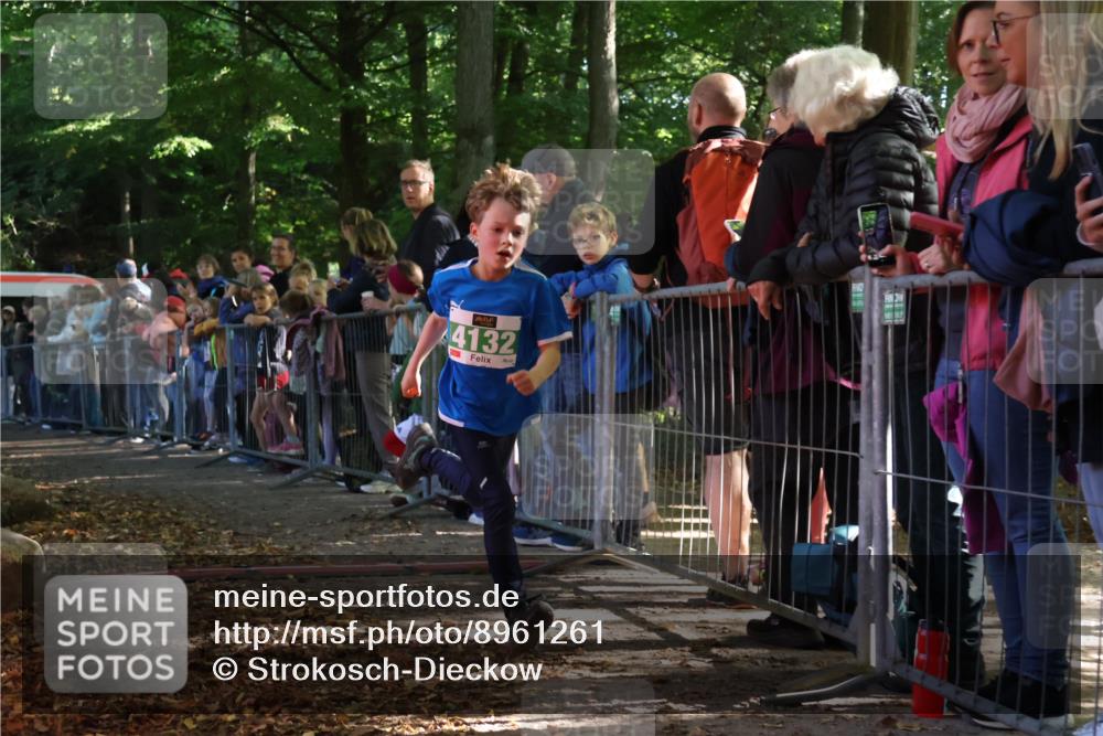 28.09.2025 - 33. Volkslauf durch das schöne Alstertal Strokosch-Dieckow http://msf.ph/oto/8961261 28.09.2025 10:53:15 Ziel 4132, 4924 meine-sportfotos.de